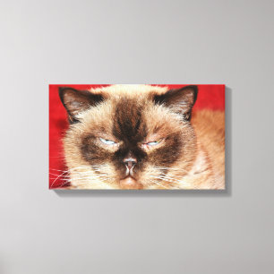 KAT PERSIAN SLEEEPY STRETCHED CANVAS