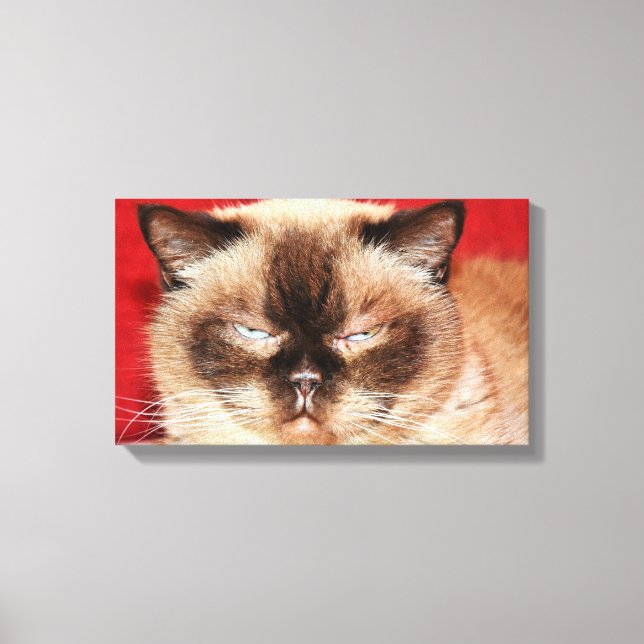 KAT PERSIAN SLEEEPY STRETCHED CANVAS (Framsida)