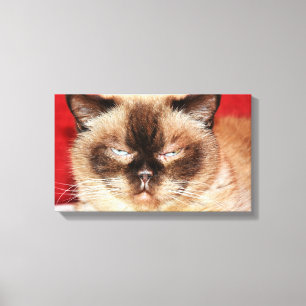 KAT PERSIAN SLEEEPY STRETCHED CANVAS