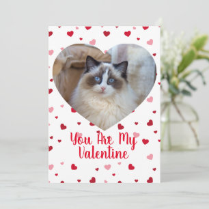 Kat Photo Anpassningsbar Valentine Day Card Julkort