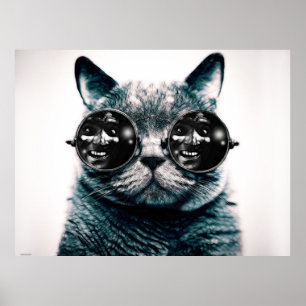 KAT POSTER
