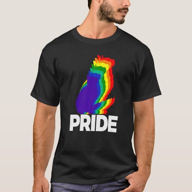 Kat Pride Cat Rainbow Färg Kat Kitten 9 T Shirt (Framsida)