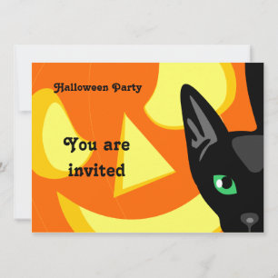 Kat Pumpkin Halloween-inbjudan Inbjudningar
