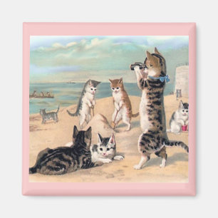 Kat-Roligt vid Beach Magnet