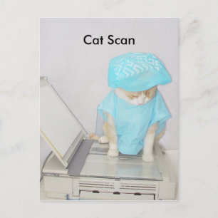 Kat Scan Vykort