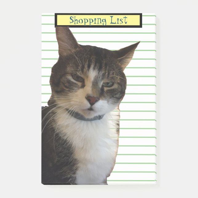 Kat Shopping List Post-it Block (Framsida)