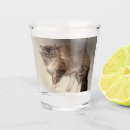 Kat Shot Glass