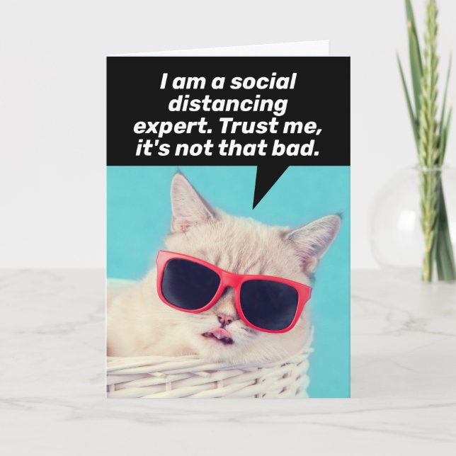 Kat som är ett Social-Avstånd expertkort för kopie Kort (Framsida)