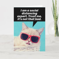 Kat som är ett Social-Avstånd expertkort för kopie