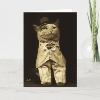 Kat som är komprimerat från 1906-Vintagars hälsnin Kort