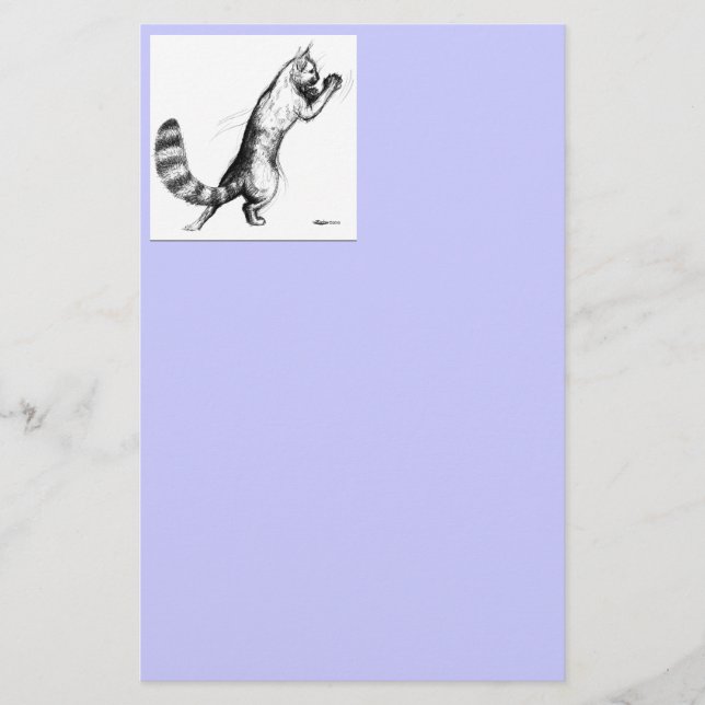 Kat Springing2 Brevpapper (Framsida)