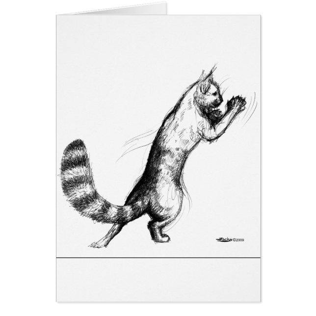 Kat Springing2 OBS Kort (Framsidan)