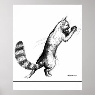 Kat Springing2 Poster
