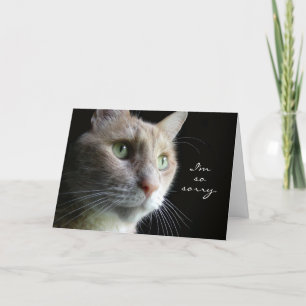 Kat Sympathy Card Kort