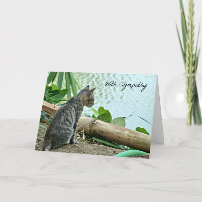 Kat Sympathy Card Kort (Framsida)