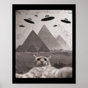 Kat Ufo Meme - luddig kattselfie med UFOS Poster