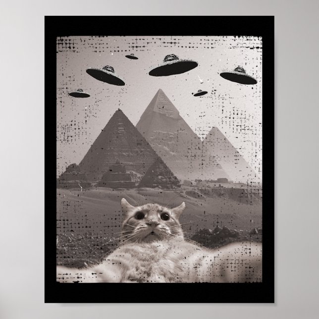 Kat Ufo Meme - luddig kattselfie med UFOS Poster (Framsidan)
