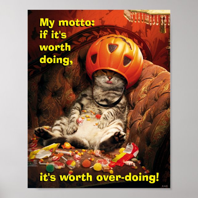 Kat under Candy Bucket Poster (Framsidan)