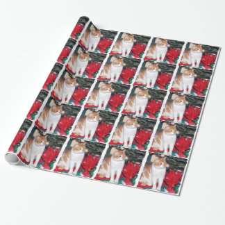 Kat under Julgran Presentpapper
