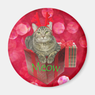 Kat väntar på tomten magnet