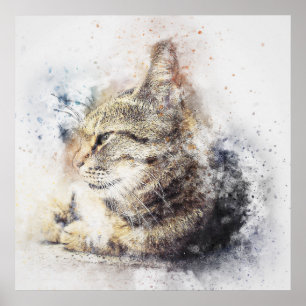 Kat, vattenfärg poster