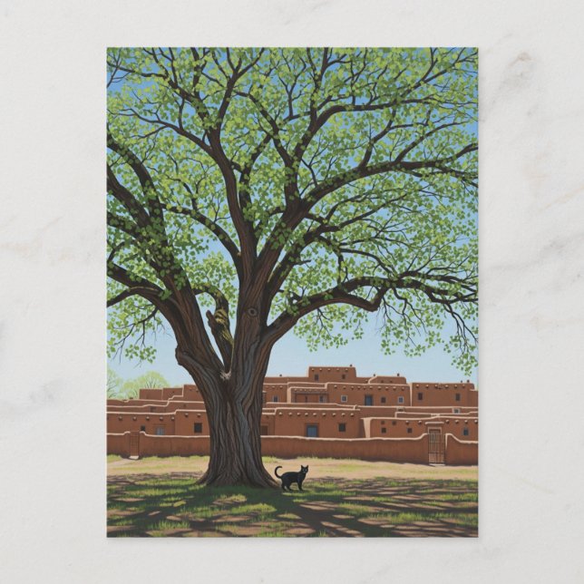 Kat vid Taos Pueblo New mexico Vykort (Framsida)