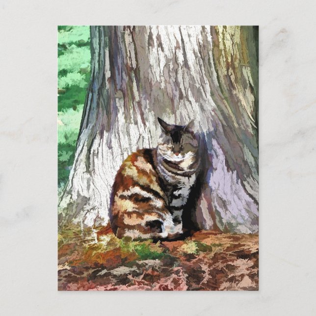 KAT VYKORT (Framsida)