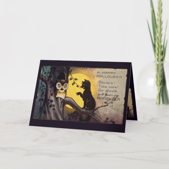 Kat Warning Uggla Halloween-hälsningskort Kort (Framsida)