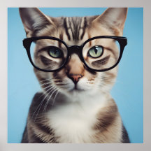 Kat Wearing Glass