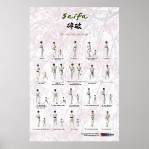 Kata Saifa - Goju Ryu-version Poster