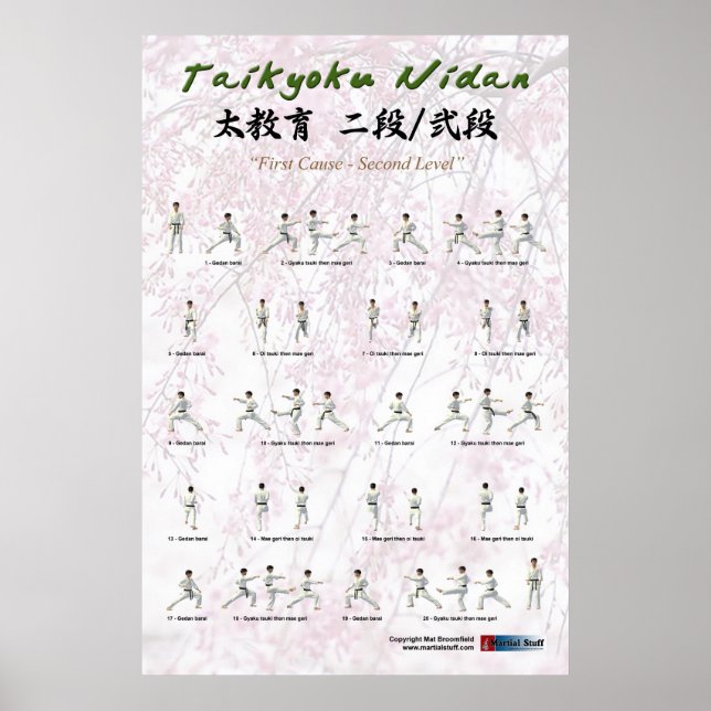 Kata Taikyoku Nidan - 2nd kata Poster (Framsidan)