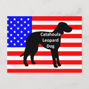 katahoula siluett namn på usa-flagga vykort
