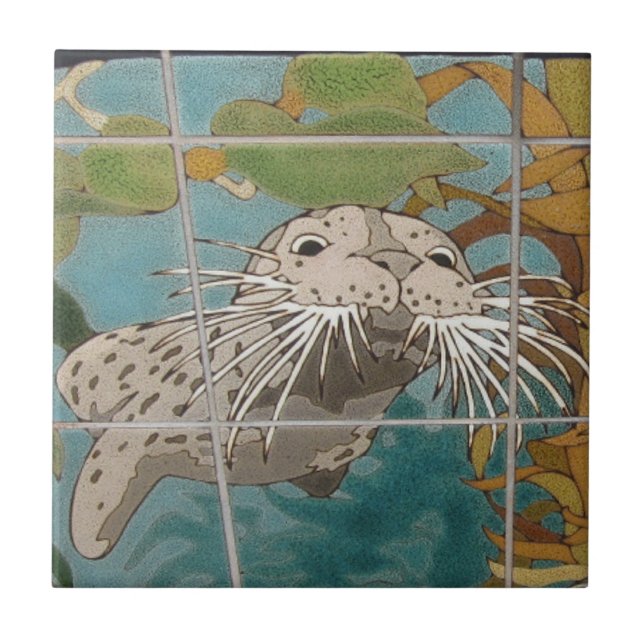 KATALINA ISLAND CERAMIC TILE ANSIKTE KATALINA KAKELPLATTA (Framsidan)