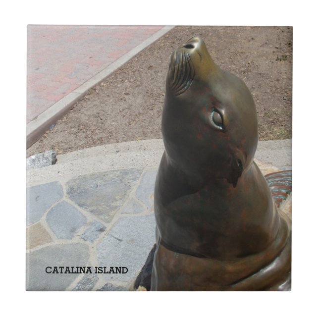 KATALINA ISLAND CERAMIC TILE NOSE KAKELPLATTA (Framsidan)