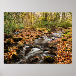 Kataloochee Bäck NC Underbar Smoky Mountains Poster