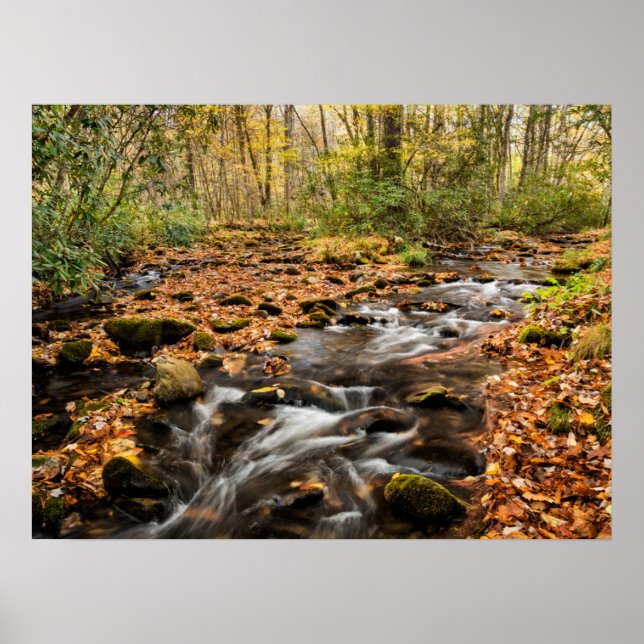 Kataloochee Bäck NC Underbar Smoky Mountains Poster (Framsidan)