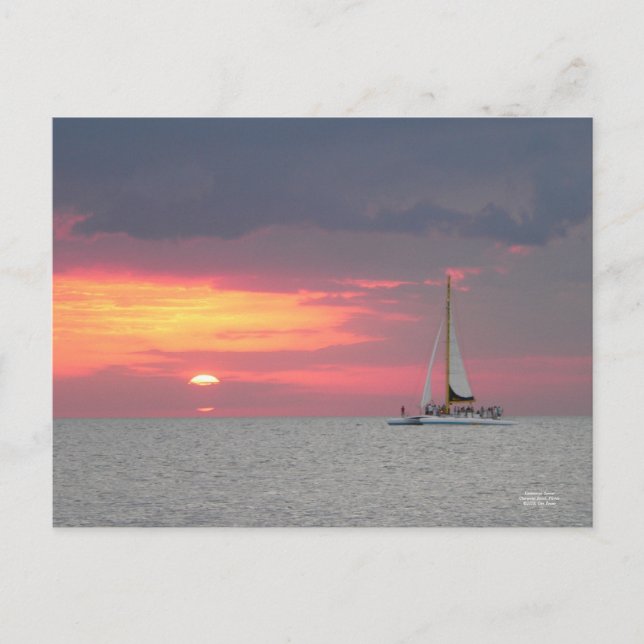 Katamaran Sunset-vykort Vykort (Framsida)
