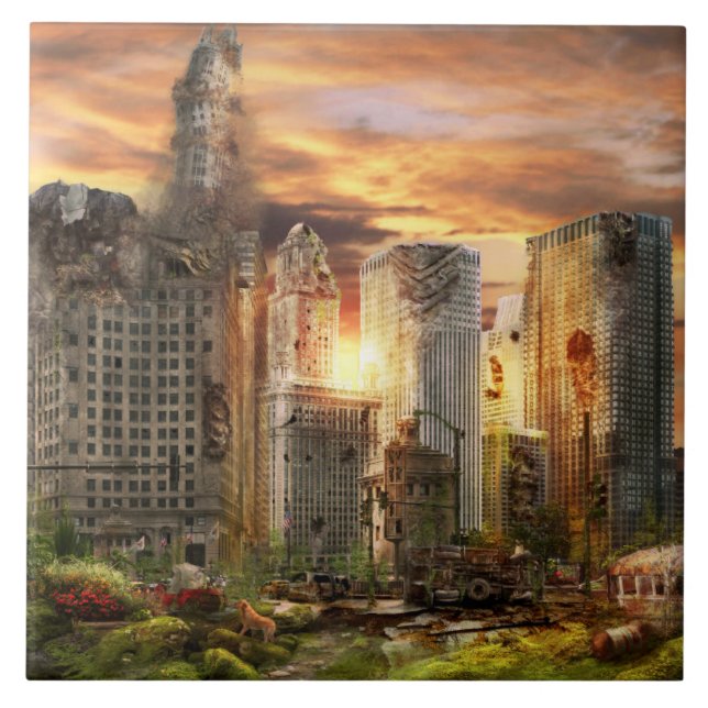 Katastrof - Chicago, IL - Måste gå ut med hunden Kakelplatta (Framsidan)