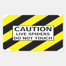 KATASTROFSPIDER