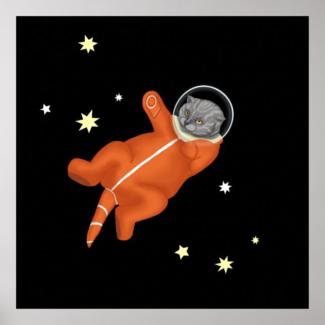 Katastronaut i en orange poster (Framsidan)