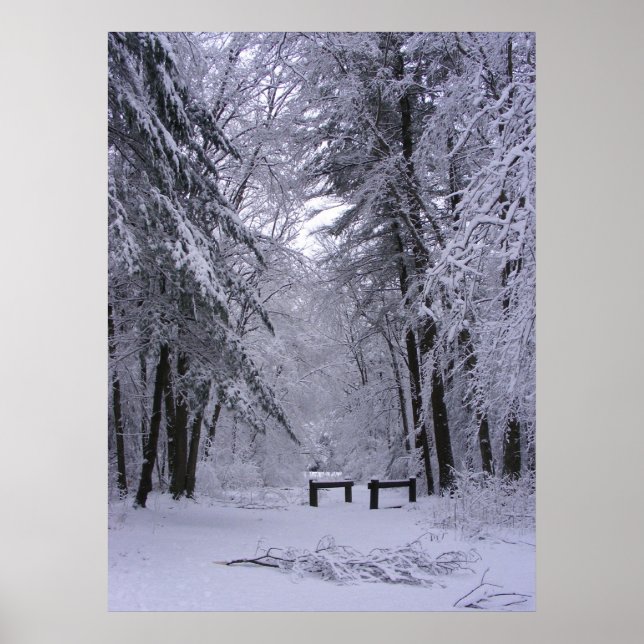 Katatedral för is 2 ~ utskrift poster (Framsidan)