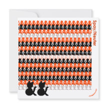 "Katcetera: Spay/Neuter’ Spara hos fåglar