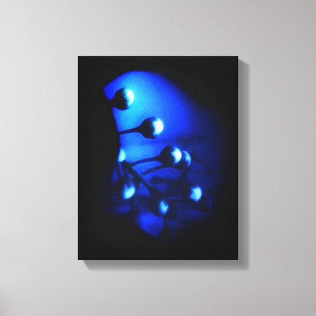 Kate Canvastryck (Framsida)