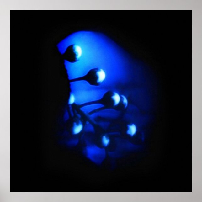 Kate Poster (Framsidan)