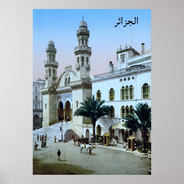 Katedral i Algiers Poster (Framsidan)