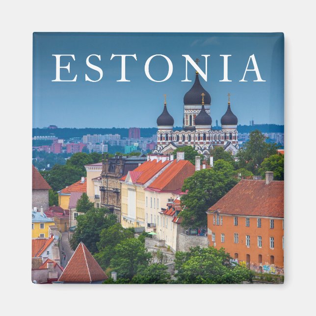 Katedral och Cityscape | Estland Magnet (Framsidan)