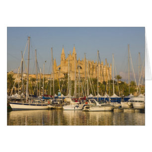 Katedral och marina, Palma, Mallorca, Spanien 2 Hälsningskort