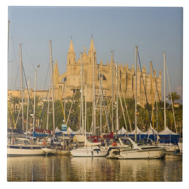 Katedral och marina, Palma, Mallorca, Spanien 2 Kakelplatta (Framsidan)