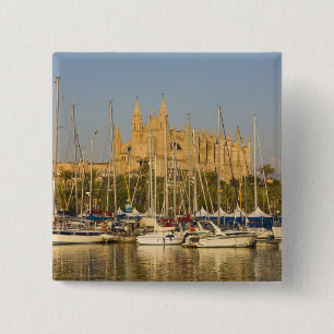 Katedral och marina, Palma, Mallorca, Spanien 2 Knapp