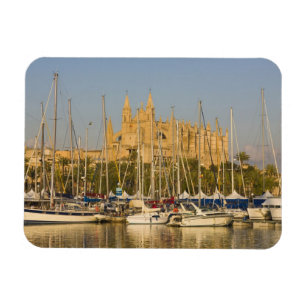 Katedral och marina, Palma, Mallorca, Spanien 2 Magnet